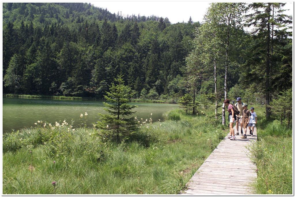 Aktivhotel & Gasthof Schmelz Ihr Urlaubs Hotel In Inzell Mit Wellness Hallenbad, Alpensauna & Dampfbad Exterior photo